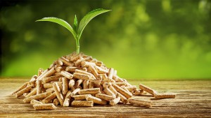 pellet total DIN+ bois chauffage