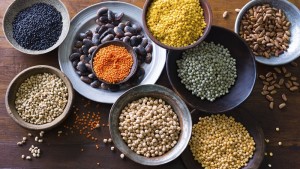 Culture des légumineuses