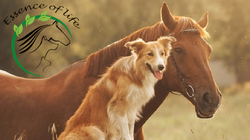 Prendre soin de ses animaux Prendre soin de ses animaux