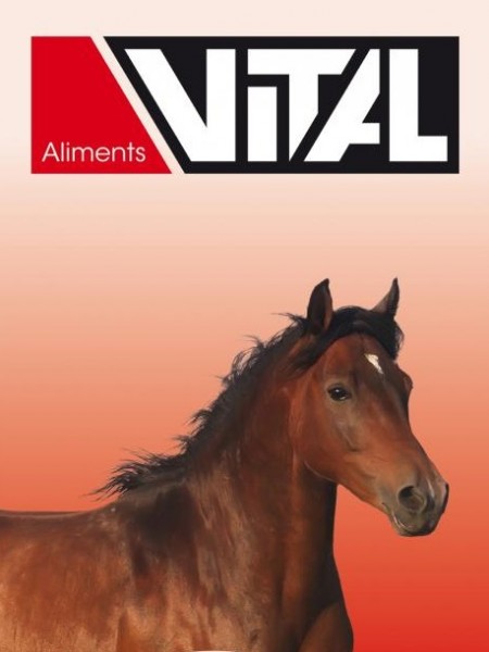 vital_chevaux 2 vital_chevaux 2
